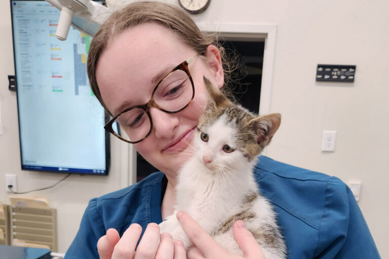 How We Triage Patients at Urgent Pet Care